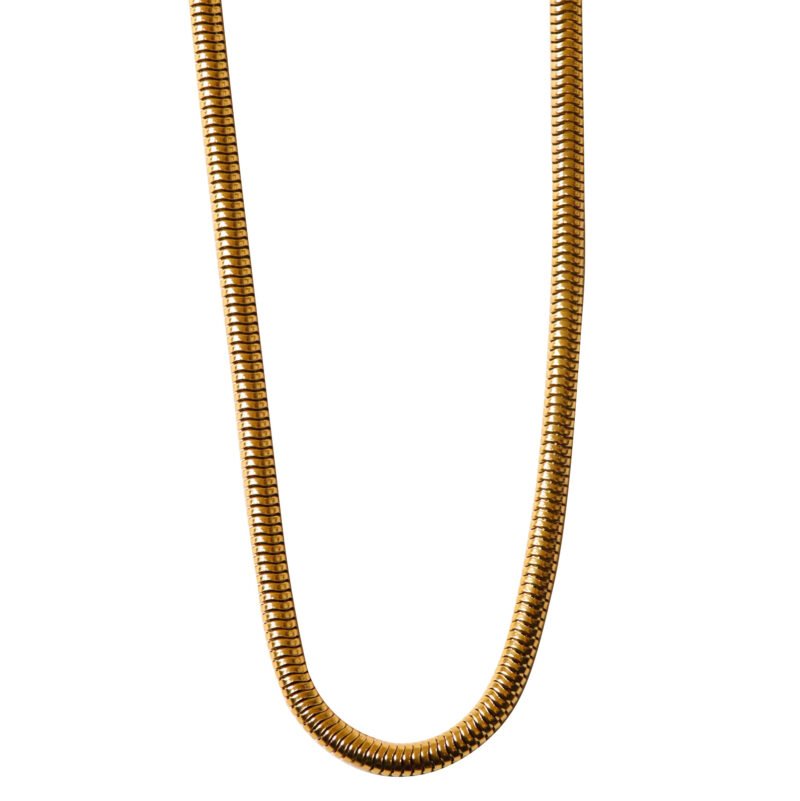 Ketting Goud Roestvrij Staal