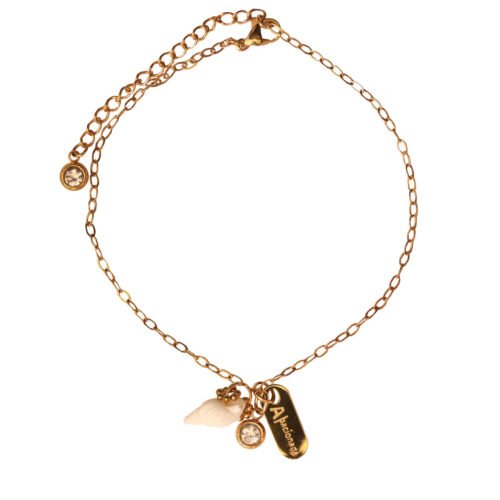 Anklet Gold Stainless Steel