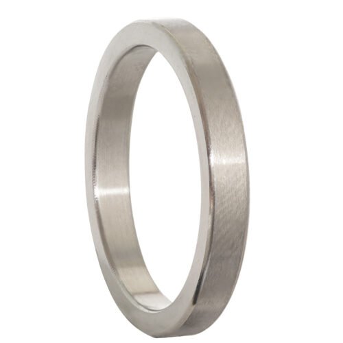 Zilveren Ring Roestvrij Staal